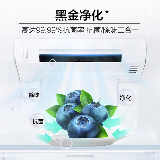 海尔（Haier）冰箱 BCD-477WGHTDEDSP  477升十字对开门四开门风冷无霜一级能效三档变温黑金净化家用大容量电冰箱 商品图5