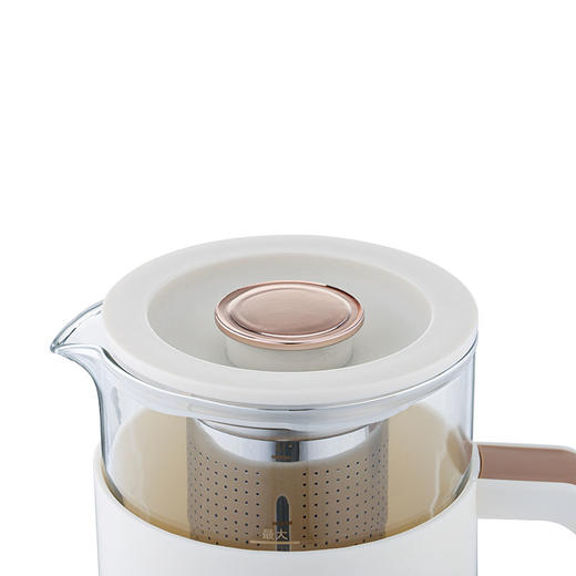 【名品】伊莱克斯养生壶-6120 商品图3