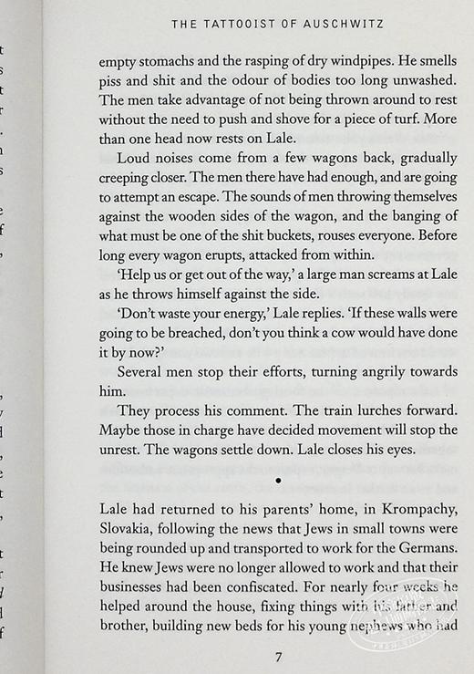 预售 【中商原版】奥斯威辛的刺青师 奥斯维辛的纹身师 英文原版 The Tattooist of Auschwitz Heather Morris 周日泰晤士报畅榜传记 商品图6