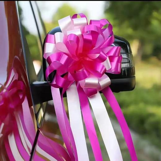 婚车球形拉花（10个） 商品图2