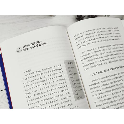 【源创图书】教师如何管控法律风险： 50个好用的依法执教策略  雷思明  著 商品图1