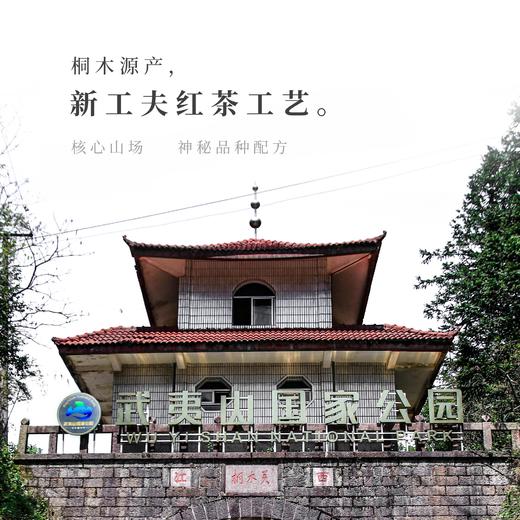 【观山社】香茜50g包邮 商品图4