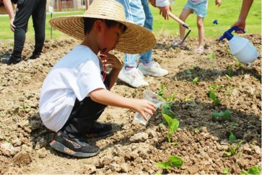 广州白云龙在田研学基地班级研学定制 商品图2