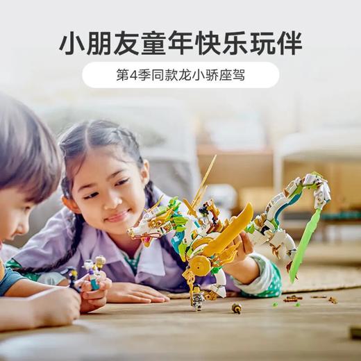 乐高80047龙小骄的守护神龙战甲 商品图1