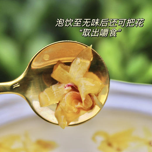 铁皮石斛花干花枫斗干条鲜条养生茶干花 商品图2