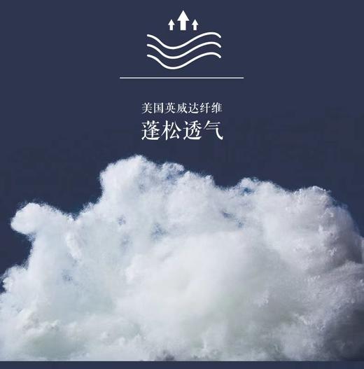 【Luolai罗莱厅】B7F罗莱澳洲羊毛抗菌被-220*250净重2000克 商品图3