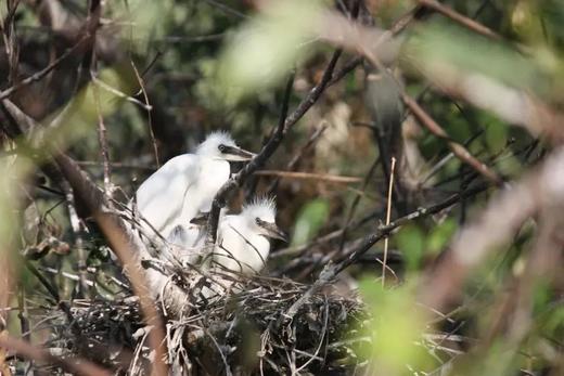 南沙湿地公园班级研学定制 商品图1