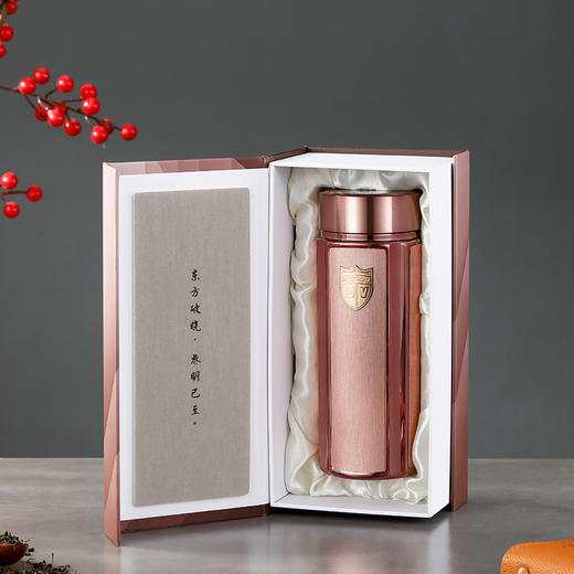 思宝旗舰店新款方舟T8/9真空保温杯办公商务礼品车载便捷男女水杯 商品图5