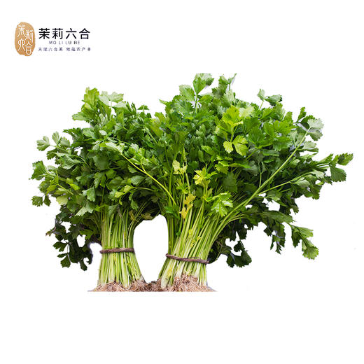 【预售】东沟黄心芹10斤 线上（只发南京） 商品图0