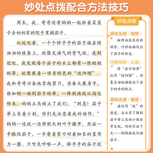 【斗半匠】三年级作文起步看图写话同步作文五感法押题范文技巧点拨 商品图4
