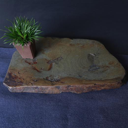 商周文砚石壶承 12# 商品图5