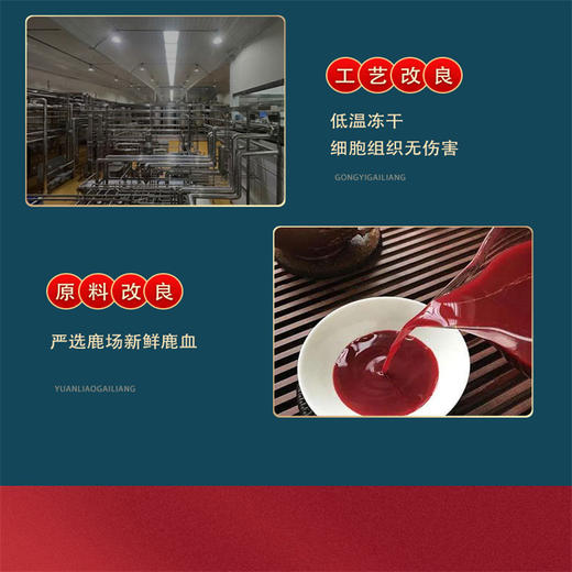 【中国农业科学院特产研究所研发】鹿茸血血浆蛋白冻干粉1g*10瓶/盒 商品图2