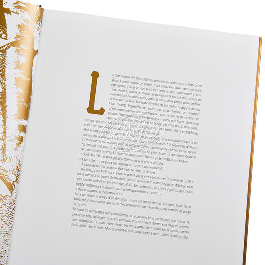 【中商原版】Frederic Pillot 古老橡树的记忆 绘本插画小说 法文原版 Les souvenirs du vieux chene 法国知名插画家 商品图2