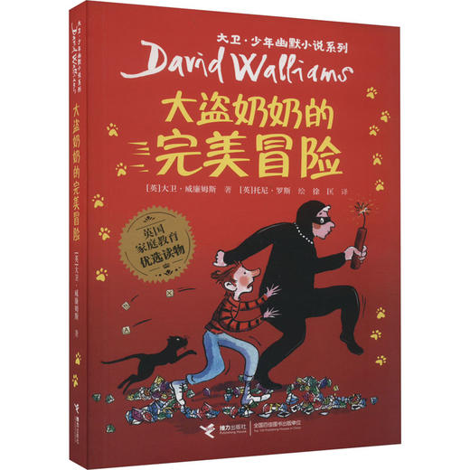 大盗奶奶的完美冒险 商品图0