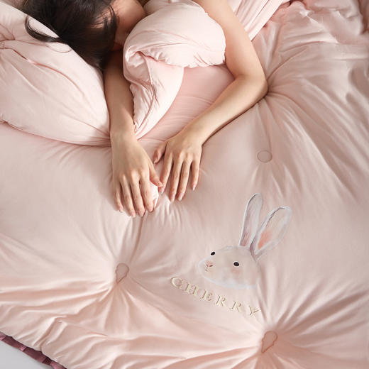 自然醒冬季A类云感亲肤被子被芯春秋被冬被单人加厚保暖抗菌款四季通用LFS 商品图6