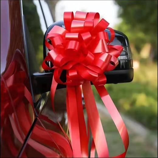 婚车球形拉花（10个） 商品图3