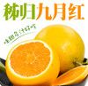 三峡特产秭归脐橙新鲜采摘九月红果冻橙 商品缩略图0