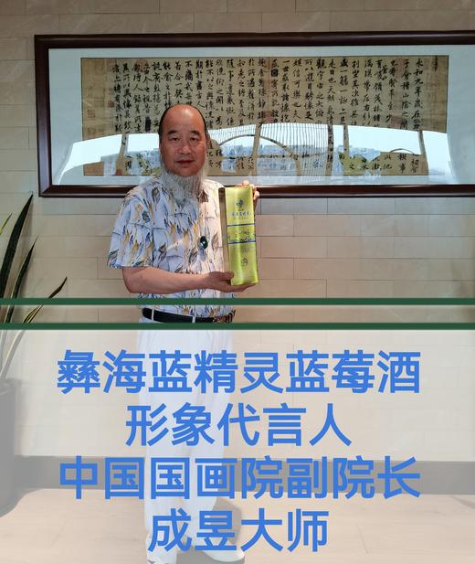 凉山州 彝海蓝精灵蓝莓酒 蓝莓全汁发酵 12度 750ml 买一赠一 商品图5