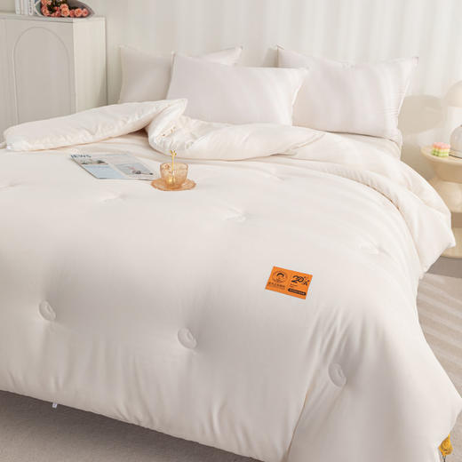 自然醒A类李官奇大豆纤维被子冬被加厚保暖冬季棉被四季通用单人被芯LFS 商品图1