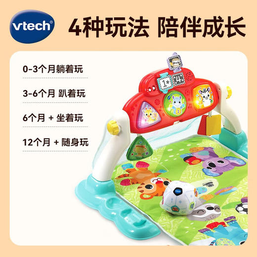 伟易达80-550100足球健身架 商品图2