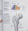 【中商原版】DK科学百科系列 DK SCIENCE OF 英文原版 Hiit科学 力量锻炼科学 跑步科学 瑜伽科学 商品缩略图6