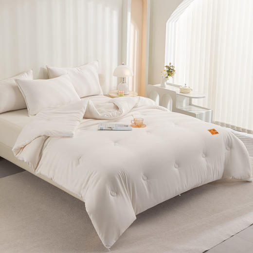 自然醒A类李官奇大豆纤维被子冬被加厚保暖冬季棉被四季通用单人被芯LFS 商品图4