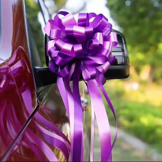 婚车球形拉花（10个） 商品图1