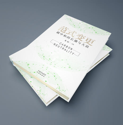 范式变更：碳中和的长潮与大浪 商品图3