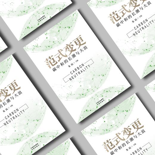 范式变更：碳中和的长潮与大浪 商品图2
