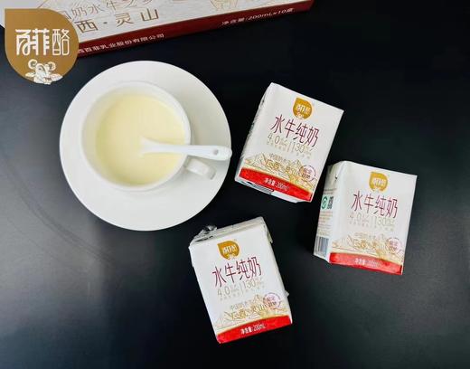 百菲酪水牛奶一箱 商品图2