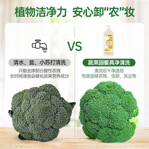 【日化洗护】蔬果园果蔬餐具净（半透瓶）泵装QSH 商品图4