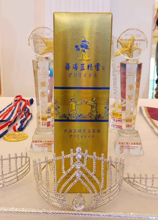 凉山州 彝海蓝精灵蓝莓酒 蓝莓全汁发酵 12度 750ml 买一赠一 商品图2