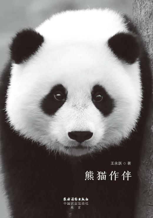 熊猫作伴【王永跃 著】中国农业出版社官方正版 商品图1