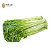 【预售】六合水芹3斤 线上 商品缩略图0
