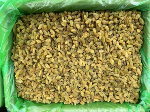 葡萄干2斤 商品图0