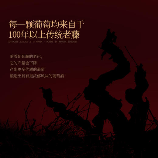 【庄主亲笔签名】菲特瓦诺蒂斯风干老藤干红葡萄酒 意大利进口 18%vol 商品图4