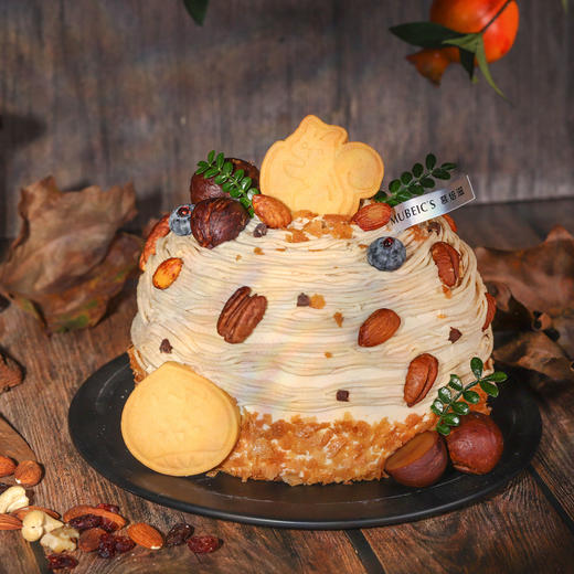 栗秋S55（停用） 商品图2