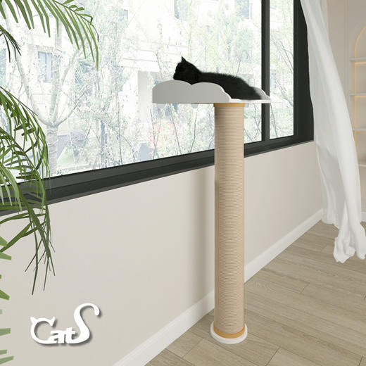 CatS猫家具 迷你看鸟台 猫爬架观景台剑麻猫抓柱吸盘占地小 商品图3