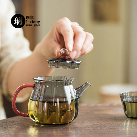 璃享 梅花玻璃茶壶一人喝单个功夫茶具日式过滤小泡茶壶家用精致  容量240ml 商品图6