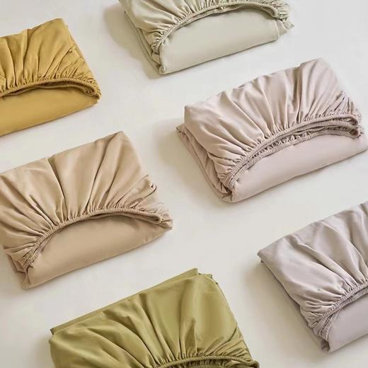 100S全棉磨毛单品床笠（无枕套） 温暖美拉德色系 蓄热锁温 商品图0