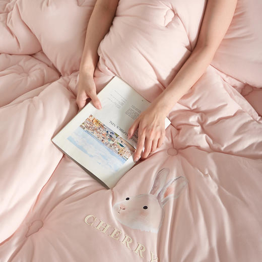 自然醒冬季A类云感亲肤被子被芯春秋被冬被单人加厚保暖抗菌款四季通用LFS 商品图8