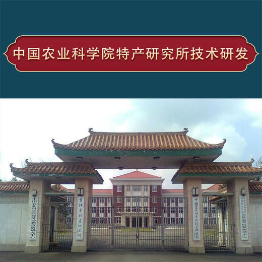 【中国农业科学院特产研究所研发】鹿茸血血浆蛋白冻干粉1g*10瓶/盒 商品图4