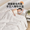 雅芳婷家纺 大豆纤维复合被 被子冬被 单双人冬天被芯加厚保暖连芯扣款 商品缩略图2