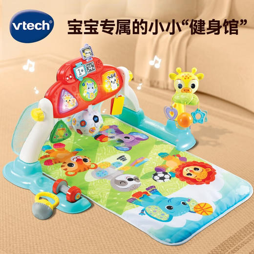 伟易达80-550100足球健身架 商品图1