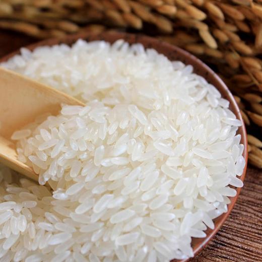 襄阳翘谷龙王御品 有机香丝米5kg/袋 商品图4