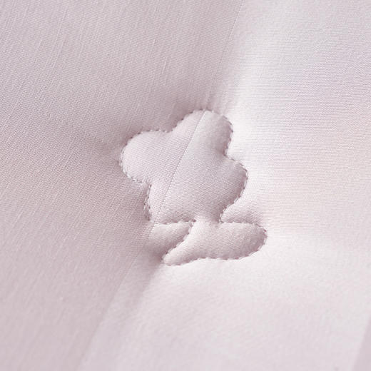 自然醒A类杜邦抗菌防螨被子被芯春秋被冬被棉被褥加厚保暖LFS 商品图13