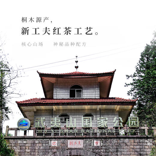 【观山社】香茜50g包邮 商品图5