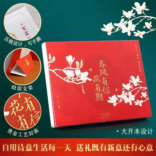 春风有信花有期 商品图5