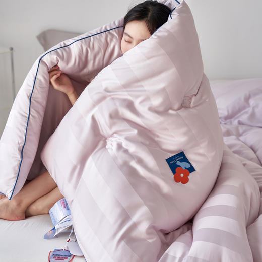 自然醒A类杜邦抗菌防螨被子被芯春秋被冬被棉被褥加厚保暖LFS 商品图4