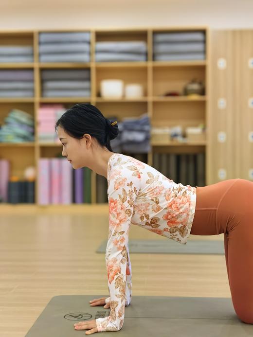 爆款好货  圆领长袖-丹露华浓 商品图1